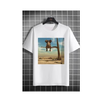 Elephant stands on thin branch